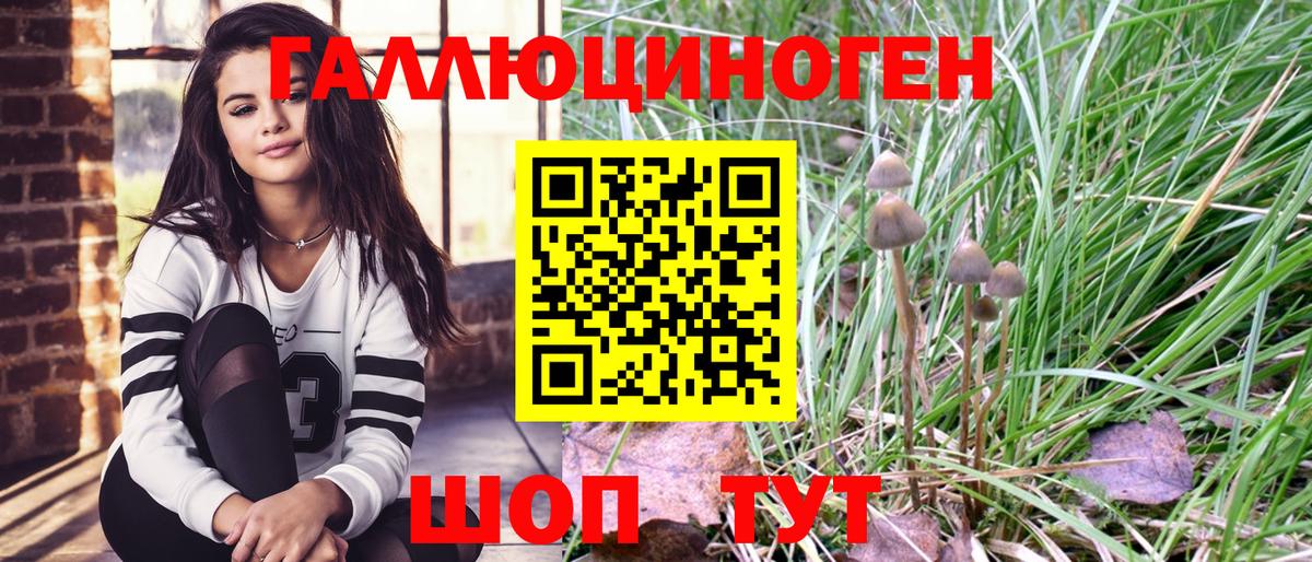 Галлюциногенные грибы прущие грибы  Вход с VPN  Абакан  Псилоцибиновые грибы прущие грибы 