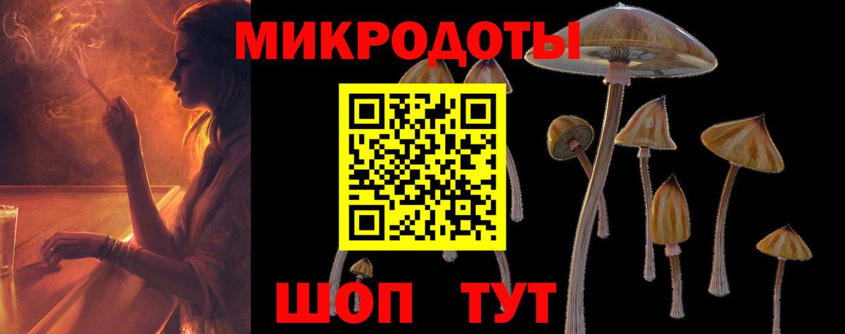 Галлюциногенные грибы ЛСД Абакан